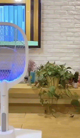 vot bat muoi 6