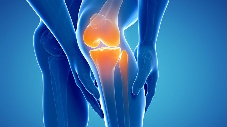 Đai Chườm Nóng Gối Ngải Cứu - Giải Pháp Chữa Đau Khớp Gối Lâu Năm 2 dai chuom goi ngai cuu 0