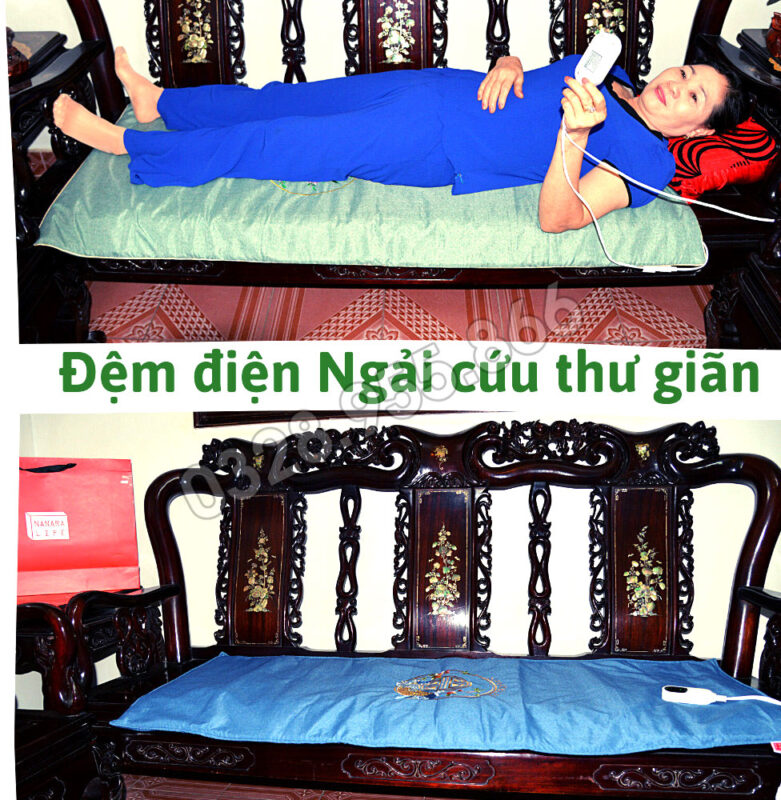 Các Nguyên Nhân Dẫn Đến Đau Lưng, Cách Giảm Đau Hiệu Quả Tại Nhà 4 tham dien ngai cuu minoco 1